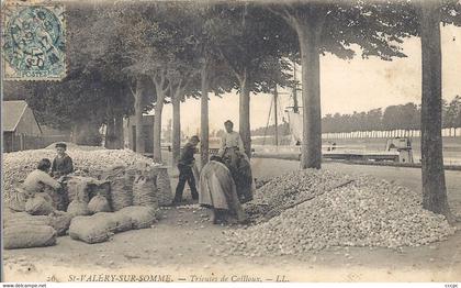 CPA Saint-Valéry-sur-Somme Trieuse de Cailloux