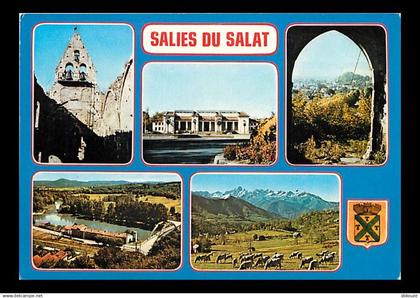 31 - Salies du Salat - CPM - Voir Scans Recto-Verso