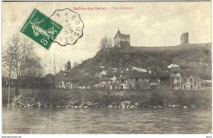 Carte Postale Ancienne de SALIES DU SALAT-vue générale