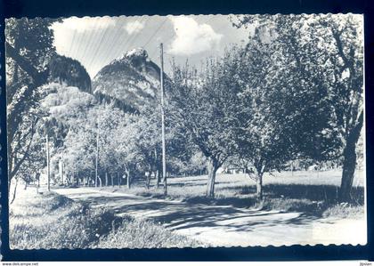 cpsm du 74  Samoëns -- la route menant au pont du Giffre et le Mont Tuet  AVR21-44