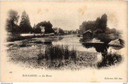 CPA SAMOIS-sur-SEINE BAS-SAMOIS - La Brosse (1299999)