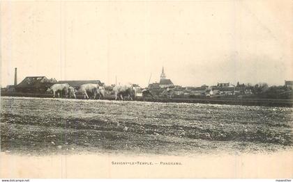 SAVIGNY LE TEMPLE panorama