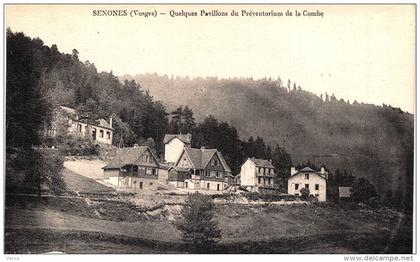 Carte Postale Ancienne de SENONES