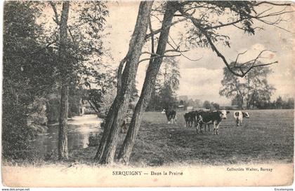 CPA carte postale France  Serquigny  Dans la prairie VM61101