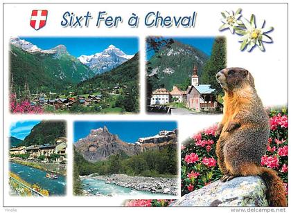 B 16--554 :  SIXT FER A CHEVAL