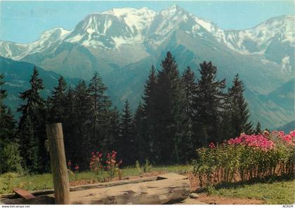 AU PAYS DU MONT BLANC De l eau claire et des fleurs sur votre chemin et au dela du rideau 15(scan recto-verso) MD2563