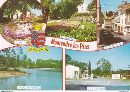 Montendre Le Pins Grande Rue Forest Lake French Postcard