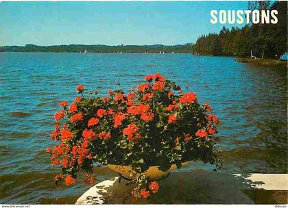 40 - Soustons - Le Lac - CPM - Voir Scans Recto-Verso