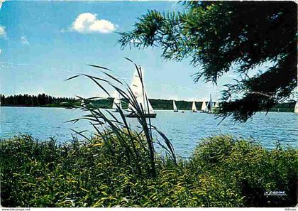 40 - Soustons - Voilier sur le Lac - Voiles - Bateaux - CPM - Voir Scans Recto-Verso