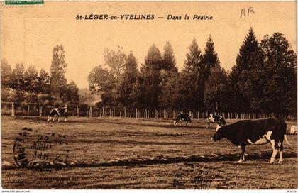 CPA St-LEGER-en-YVELINES Dans la Prairie (617892)