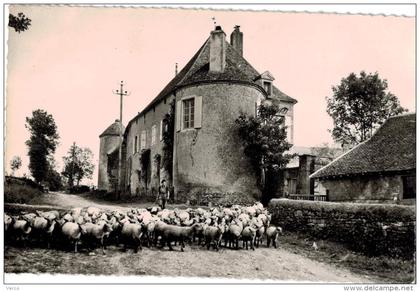 Carte Postale Ancienne de TANNAY