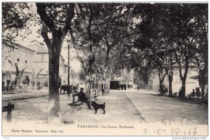 TARASCON LE COURS NATIONAL ANIMEE