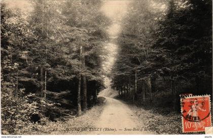 CPA Thizy - Bourg de Thizy - Sous-Bois a la Foret (1036370)