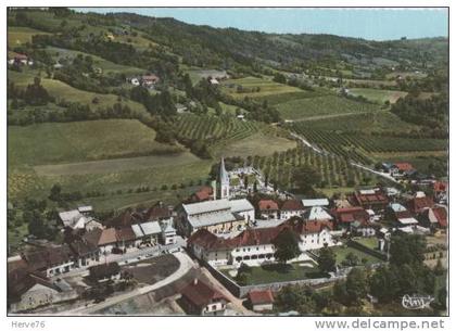 THORENS-GLIERES - centre du Chef-lieu - vue aérienne