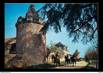 79 - Thouars - Le centre hippique Thouarsais au château de Beauvais aux environs de Thouars - Chevaux - CPM - Voir Scans