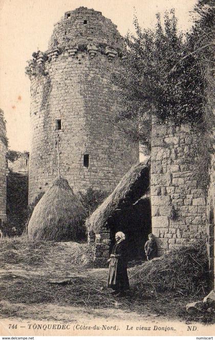 Tonquédec animée le vieux Donjon