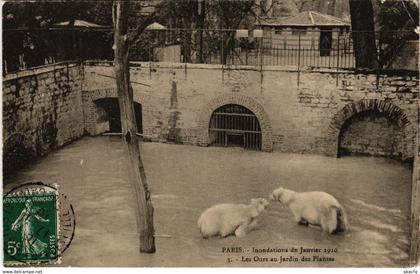 CPA Inondations PARIS 1910 Jardin des Plantes Ours (970855)