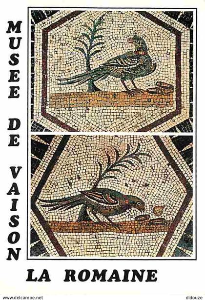 84 - Vaison la Romaine - Muséee de Vaison la Romaine - Multivues - Mosaiques - CPM - Voir Scans Recto-Verso