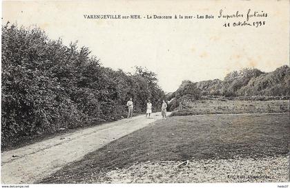 Varengeville-sur-Mer - La Descente à la mer - Les Bois