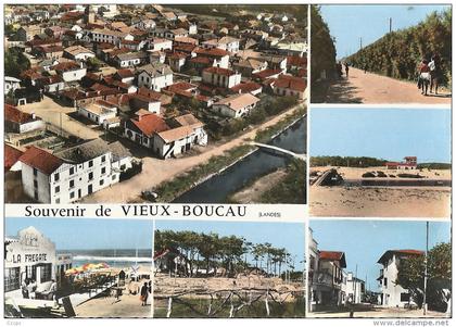 CPSM Souvenir du Vieux Boucau vues multiples