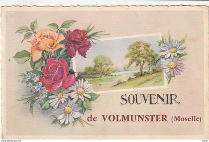 ***  57  ***  souvenir de Volmunster - timbrée TTB