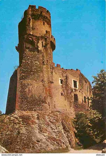 63 - Volvic - Le Château de Tournoel - CPM - Voir Scans Recto-Verso