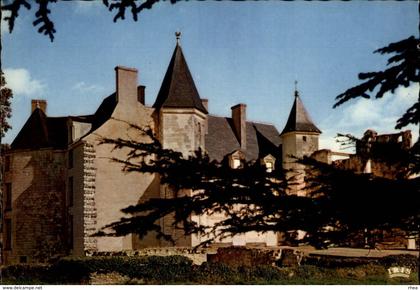 86 - VOUNEUIL-SUR-VIENNE  - chateau