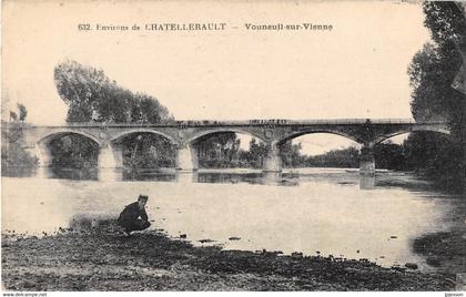 VIENNE  86  VOUNEUIL SUR VIENNE - ENVIRONS DE CHATELLERAULT