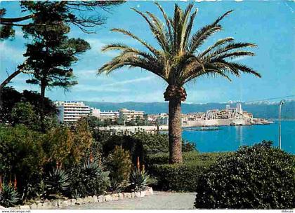 06 - Antibes - Vieille Ville - La vieille Ville et les Alpes neigeuses - CPM - Voir Scans Recto-Verso