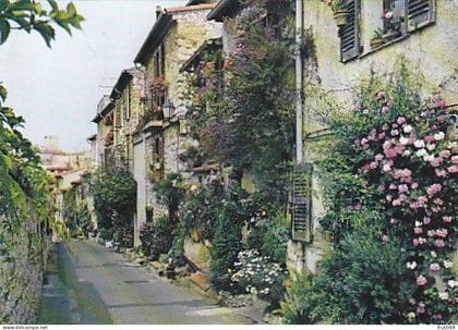 AK 209663 FRANCE - Antibes - La rue de Haut Castelet