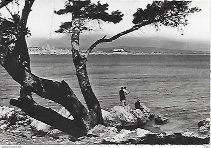 CPSM Antibes vue générale prise du Cap d'Antibes