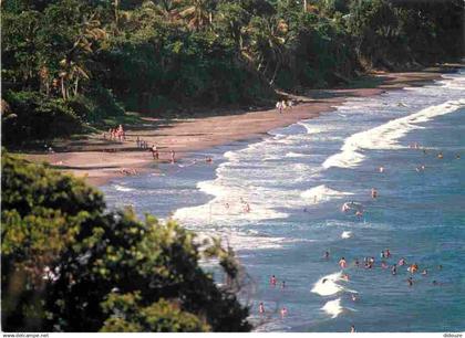 Guadeloupe - Basse Terre - La Plage - Scènes de Plage - CPM - Voir Scans Recto-Verso