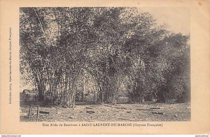 Guyane - SAINT-LAURENT DU MARONI - Une allée de bambous - Ed. Jarry