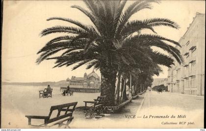 06 - NICE - Promenade du Midi - palmiers