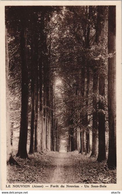 CPA Le Nouvion-en-Thierache - Foret de Nouvion - Un Sous-Bois (1061958)