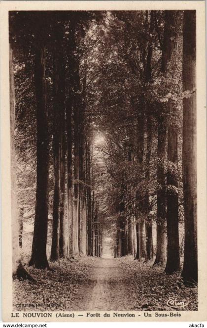 CPA Le Nouvion-en-Thierache - Foret de Nouvion - Un Sous-Bois (1061961)