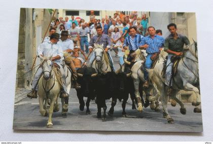 Cpm, pus de Camargue, abrivado, Bouches du Rhône 13