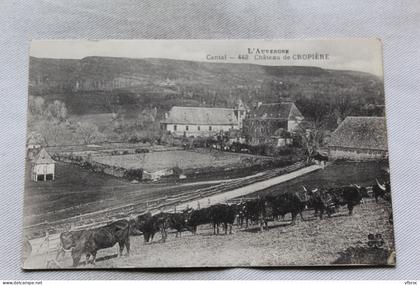 château de Cropière, Cantal 15