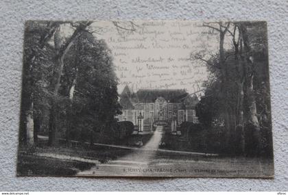 F899, Cpa 1915, Jussy Champagne, château de Jussy, vue prise du parc, Cher 18