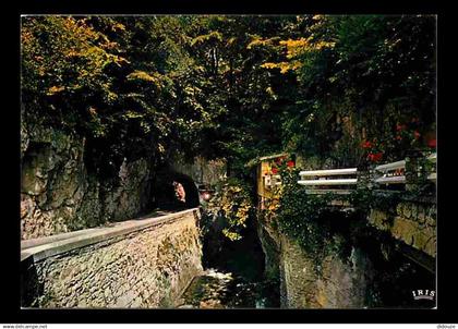 26 - Drome - Vercors - Les Barraques en Vercors - L'entrée des Grands Goulets - La Vernaison - Carte Neuve - CPM - Voir