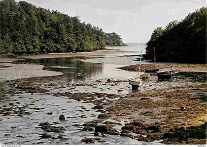 29 - Finistère - De la mer et des bois de Concarneau à La Foret Fouesnant - Anse de Saint Laurent - Flamme Postale - Voi