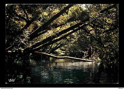 40 - Landes - Courant des Landes - CPM - Voir Scans Recto-Verso