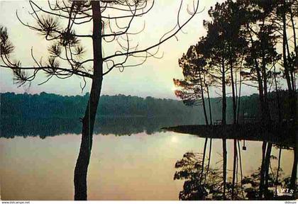 40 - Landes - Lac de la Cote Aquitaine - CPM - Voir Scans Recto-Verso