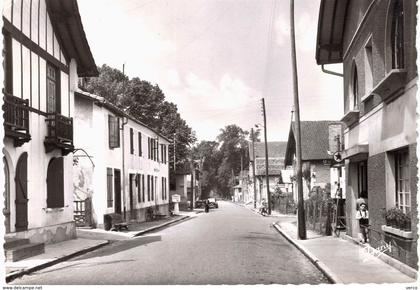 Carte POSTALE  Ancienne de ARENGOSSE - Route de MORCENX