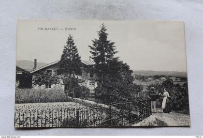 Usson, pin Mallet, Loire 42