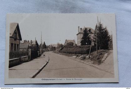 Châteaurenard, route de Montargis, Loiret 45