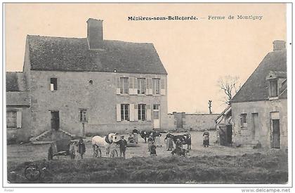 MEZIERES EN GATINAIS - MEZIERES SOUS BELLEGARDE - Ferme de Montigny