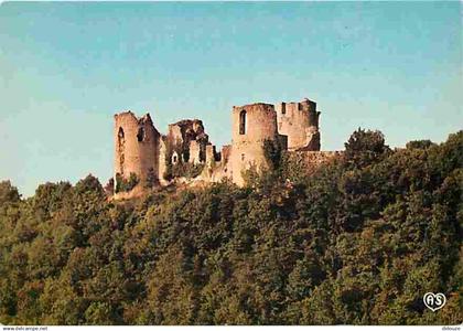 46 - Roussillon - Le Château de Roussillon - CPM - Voir Scans Recto-Verso