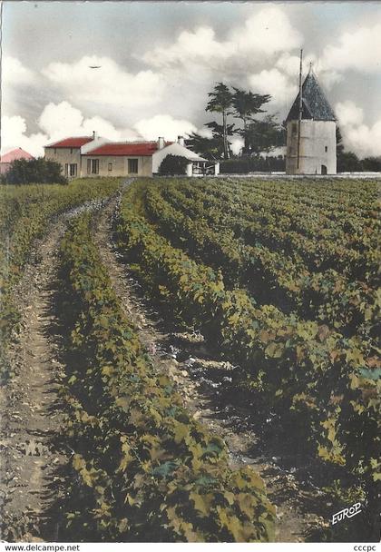 CPSM La Bree Le Mouin de la Vigne