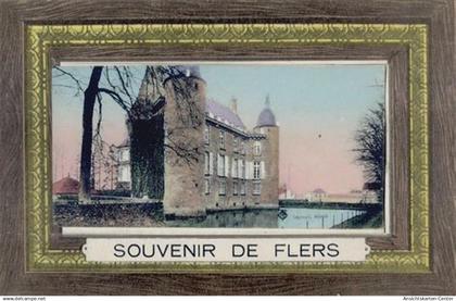 55095095 - Flers